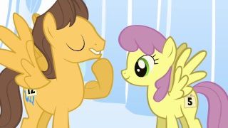 My Little Pony, Friendship is Magic – Episode 16: Sonic Rainboom